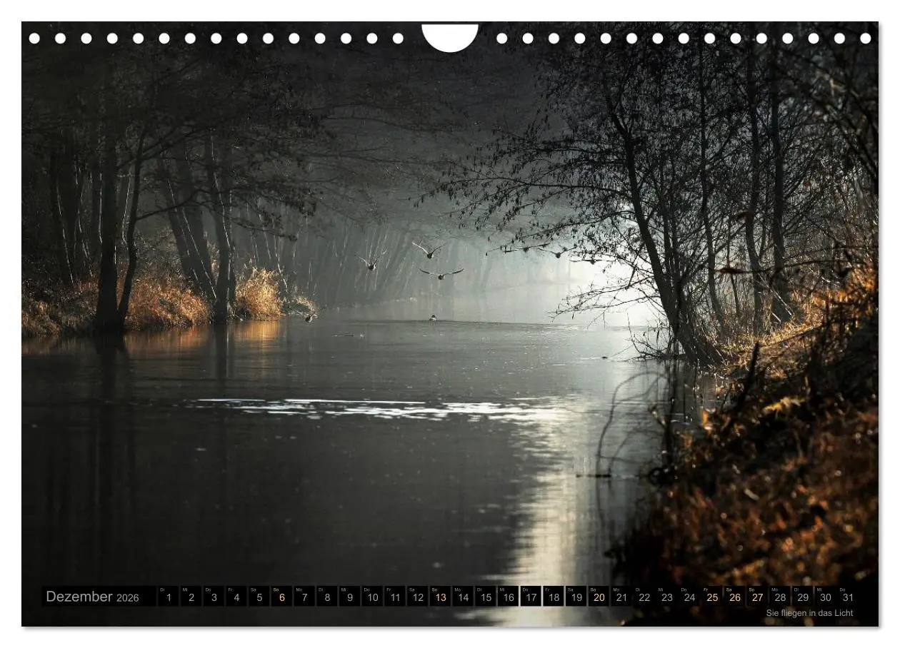 Bild: 9783516094091 | Traumlandschaften 2026 (Wandkalender 2026 DIN A4 quer), CALVENDO...