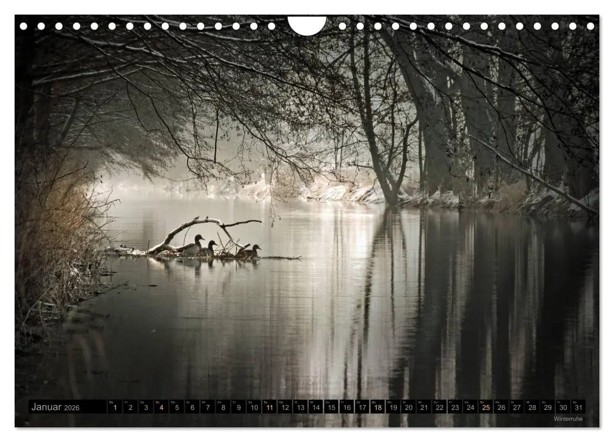 Bild: 9783516094091 | Traumlandschaften 2026 (Wandkalender 2026 DIN A4 quer), CALVENDO...