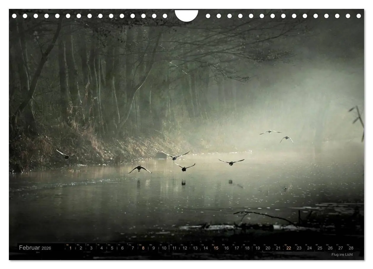 Bild: 9783516094091 | Traumlandschaften 2026 (Wandkalender 2026 DIN A4 quer), CALVENDO...