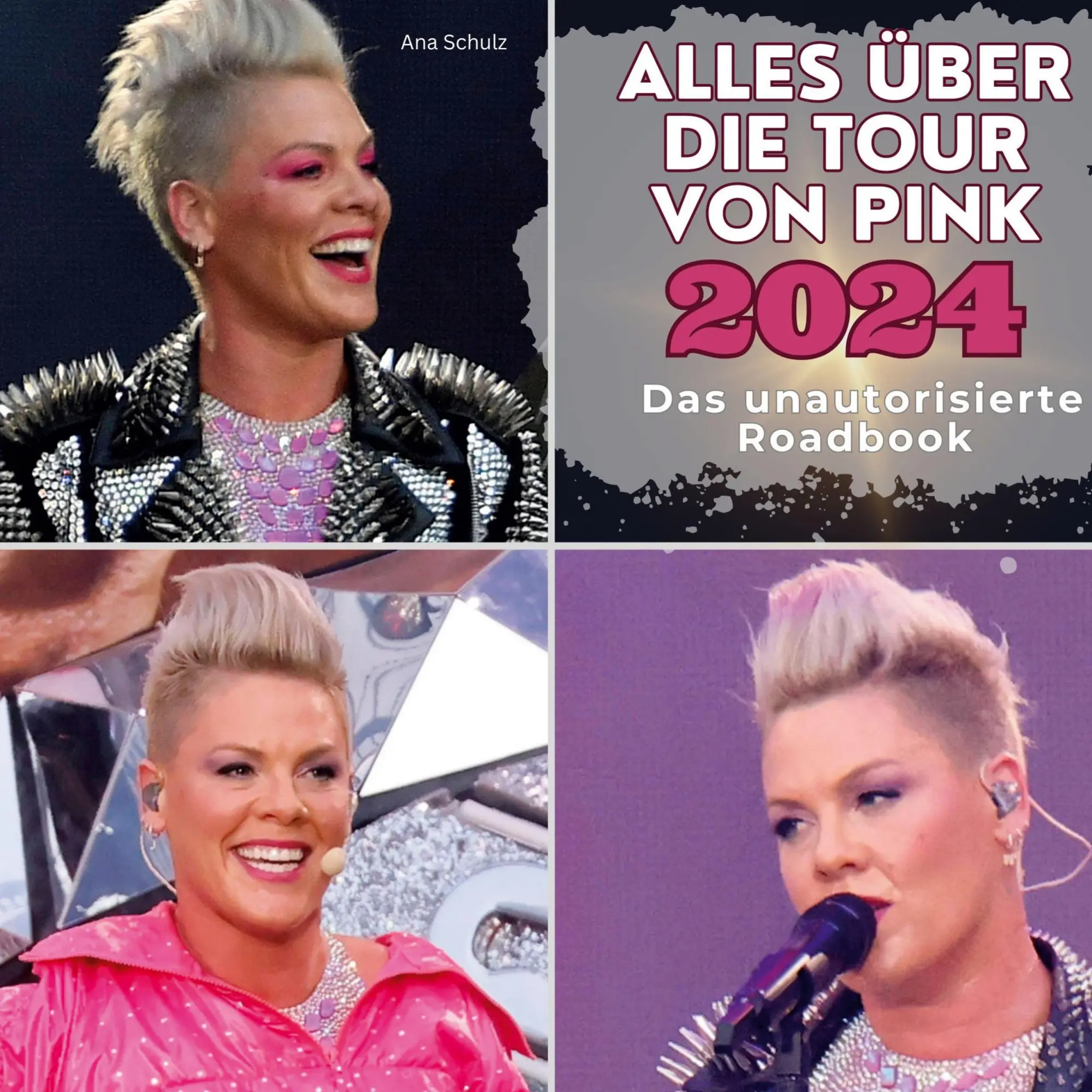 Cover: 9783750564091 | Alles über die Tour von Pink 2024 | Das unautorisierte Roadbook | Buch