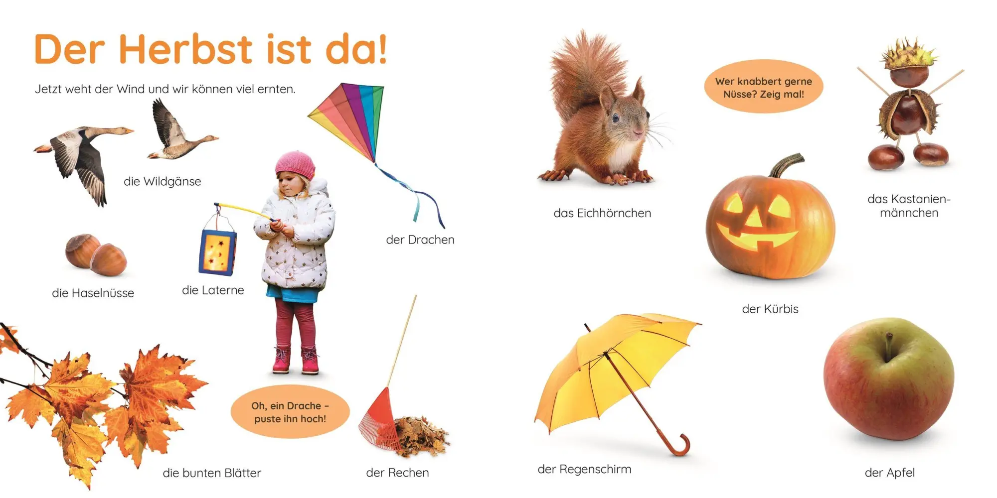 Bild: 9783831054091 | Erstes Lernen Puzzlebuch. Jahreszeiten | DK Erstes Lernen | Buch