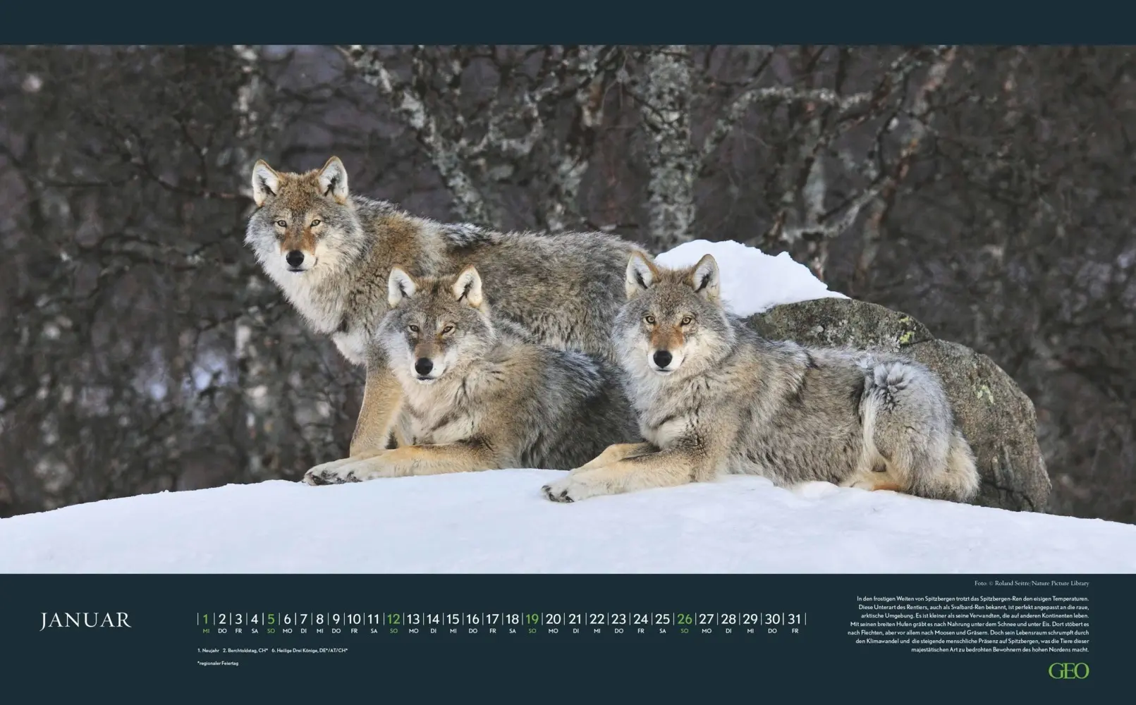 Bild: 4069095004191 | GEO - Einzigartige Tierarten 2026 - Wandkalender 58x36 cm,...