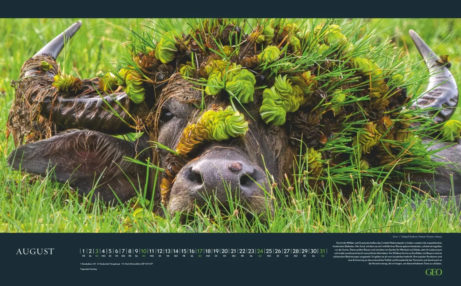 Bild: 4069095004191 | GEO - Einzigartige Tierarten 2026 - Wandkalender 58x36 cm,...
