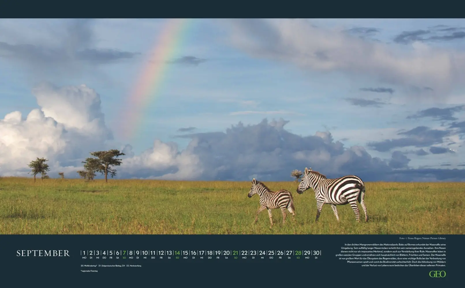 Bild: 4069095004191 | GEO - Einzigartige Tierarten 2026 - Wandkalender 58x36 cm,...