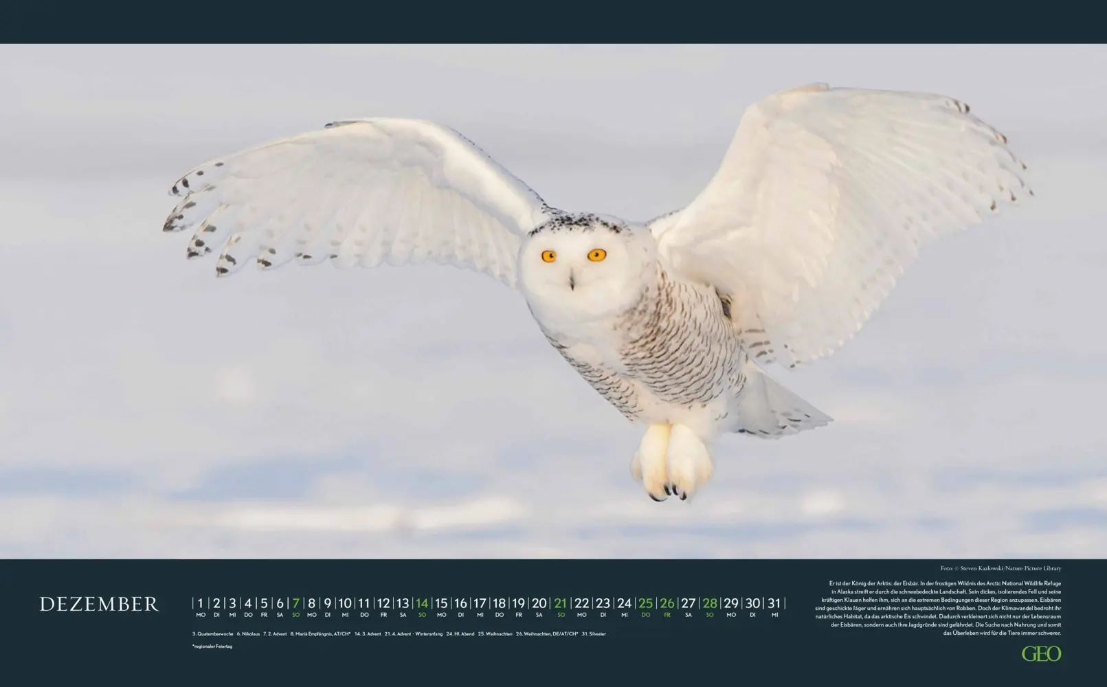 Bild: 4069095004191 | GEO - Einzigartige Tierarten 2026 - Wandkalender 58x36 cm,...