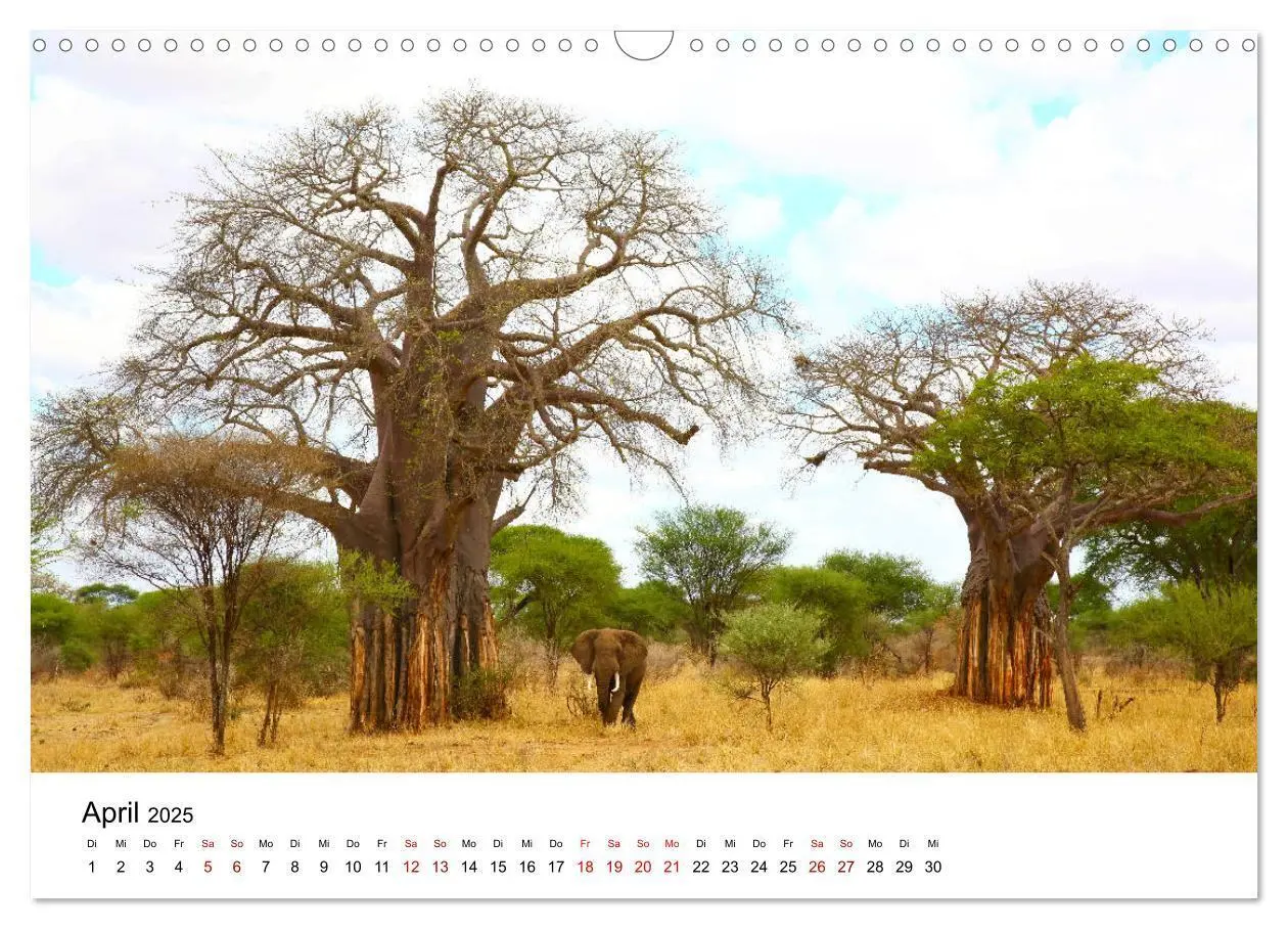 Bild: 9783435354191 | Blickpunkte Tansanias (Wandkalender 2025 DIN A3 quer), CALVENDO...