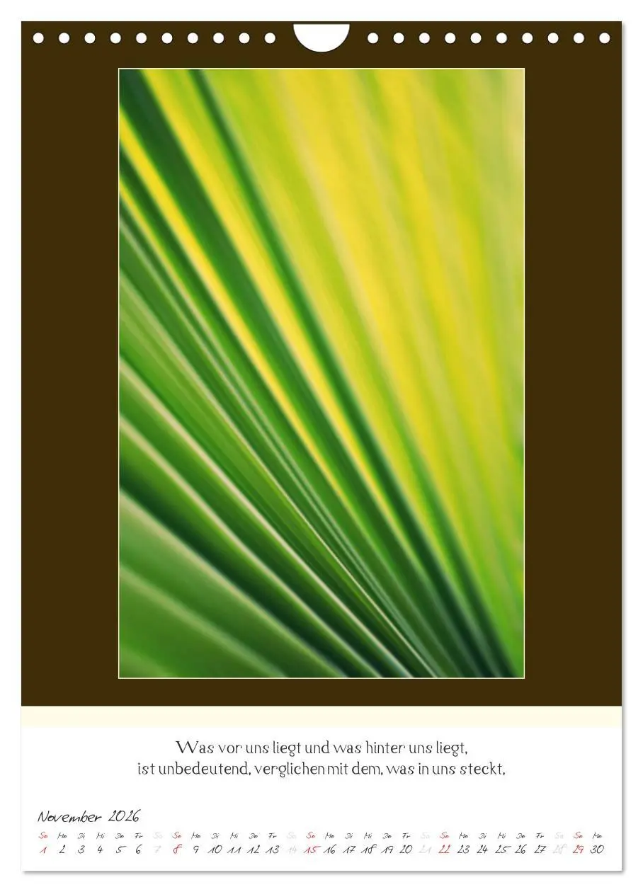 Bild: 9783516464191 | Der Buddhistische Weisheiten Kalender (Wandkalender 2026 DIN A4...