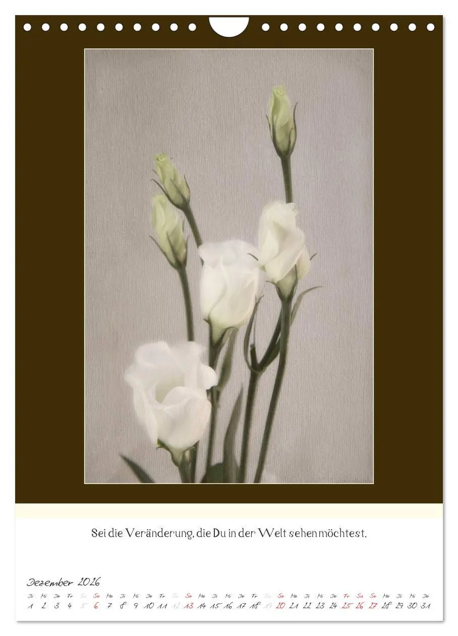 Bild: 9783516464191 | Der Buddhistische Weisheiten Kalender (Wandkalender 2026 DIN A4...