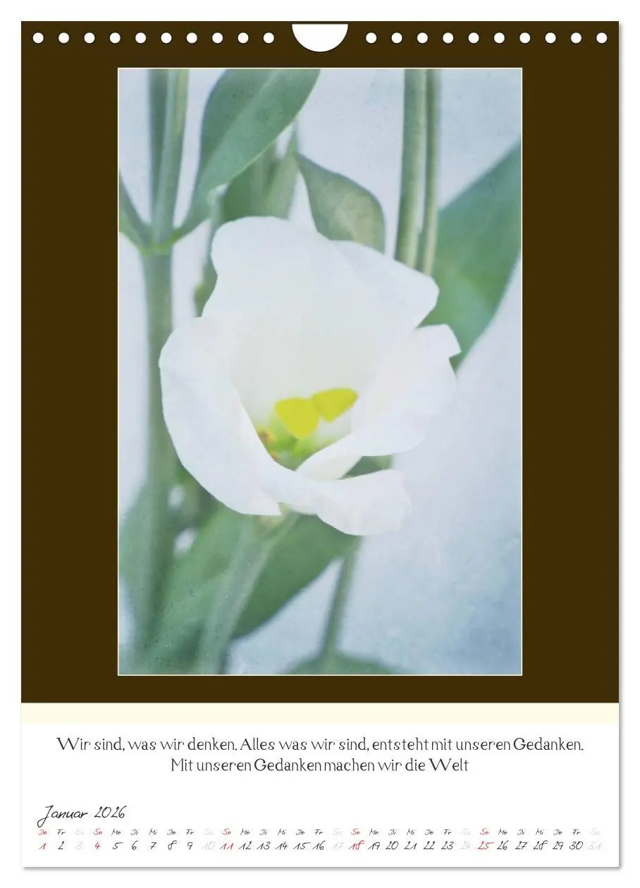 Bild: 9783516464191 | Der Buddhistische Weisheiten Kalender (Wandkalender 2026 DIN A4...
