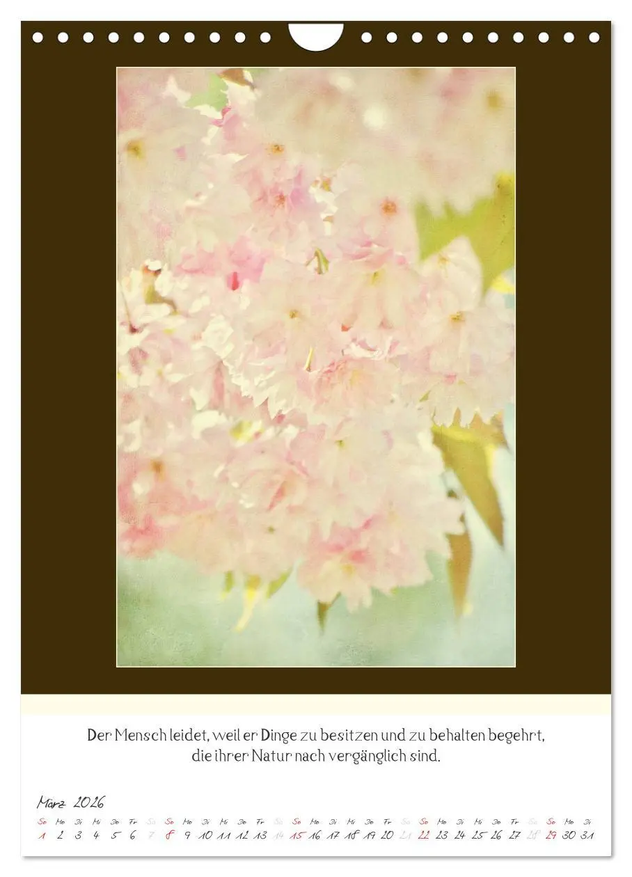 Bild: 9783516464191 | Der Buddhistische Weisheiten Kalender (Wandkalender 2026 DIN A4...