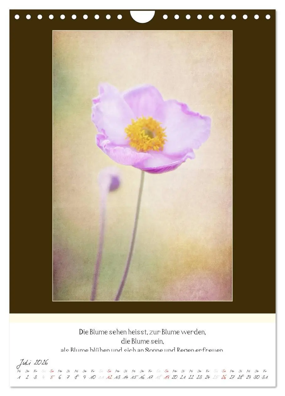 Bild: 9783516464191 | Der Buddhistische Weisheiten Kalender (Wandkalender 2026 DIN A4...