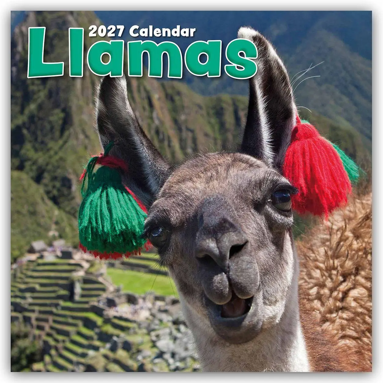 Cover: 9781805974291 | Llamas - Lamas 2027 - 16-Monatskalender | Gifted Stationery Co. Ltd