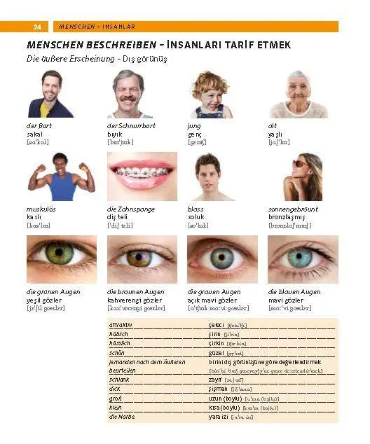 Bild: 9783125164291 | PONS Bildwörterbuch Türkisch | Taschenbuch | PONS Bildwörterbuch