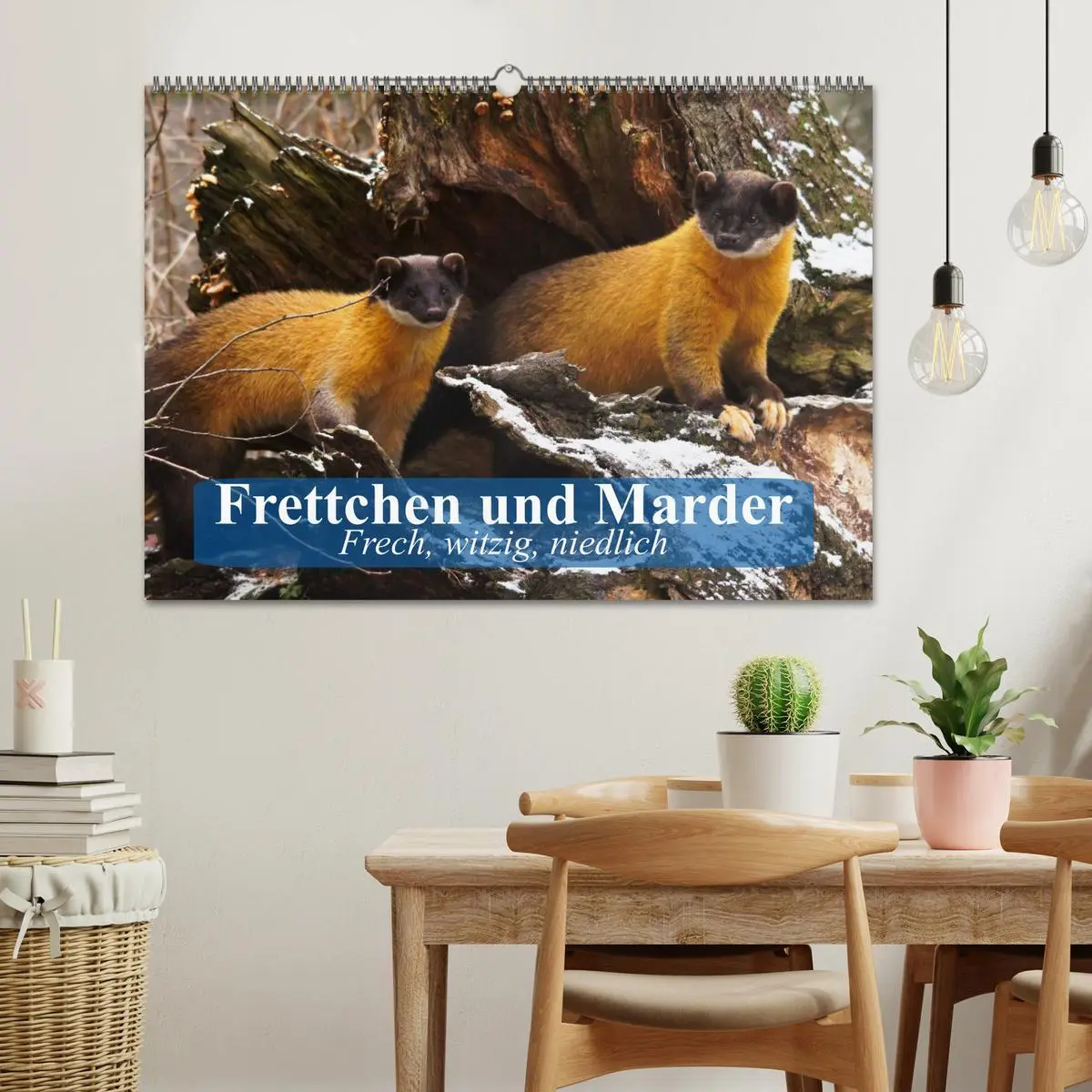 Bild: 9783457984291 | Frettchen und Marder. Frech, witzig, niedlich (Wandkalender 2026...