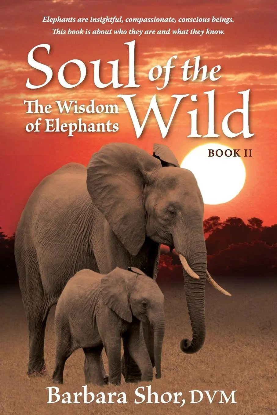 Cover: 9798218024291 | Soul of the Wild | Book II, The Wisdom of Elephants | DVM Barbara Shor
