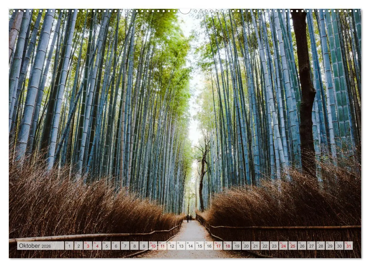 Bild: 9783457424391 | Wälder der Welt (hochwertiger Premium Wandkalender 2026 DIN A2...