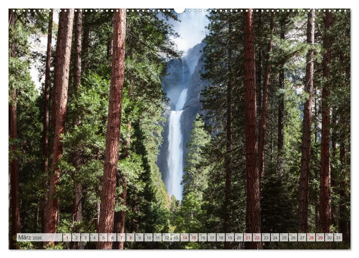 Bild: 9783457424391 | Wälder der Welt (hochwertiger Premium Wandkalender 2026 DIN A2...