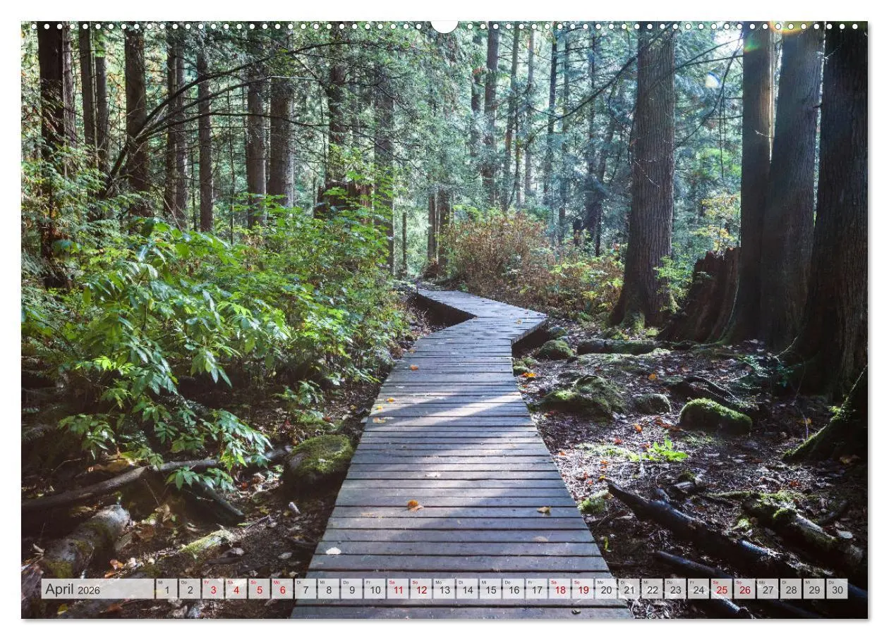 Bild: 9783457424391 | Wälder der Welt (hochwertiger Premium Wandkalender 2026 DIN A2...