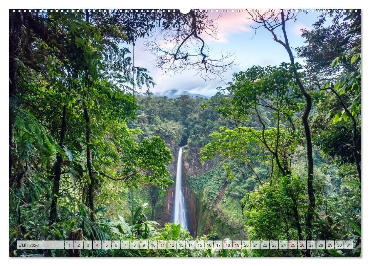 Bild: 9783457424391 | Wälder der Welt (hochwertiger Premium Wandkalender 2026 DIN A2...