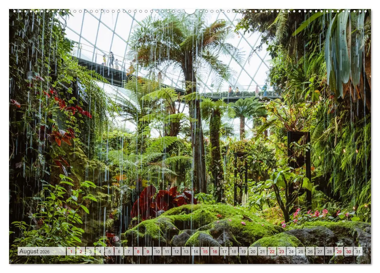 Bild: 9783457424391 | Wälder der Welt (hochwertiger Premium Wandkalender 2026 DIN A2...