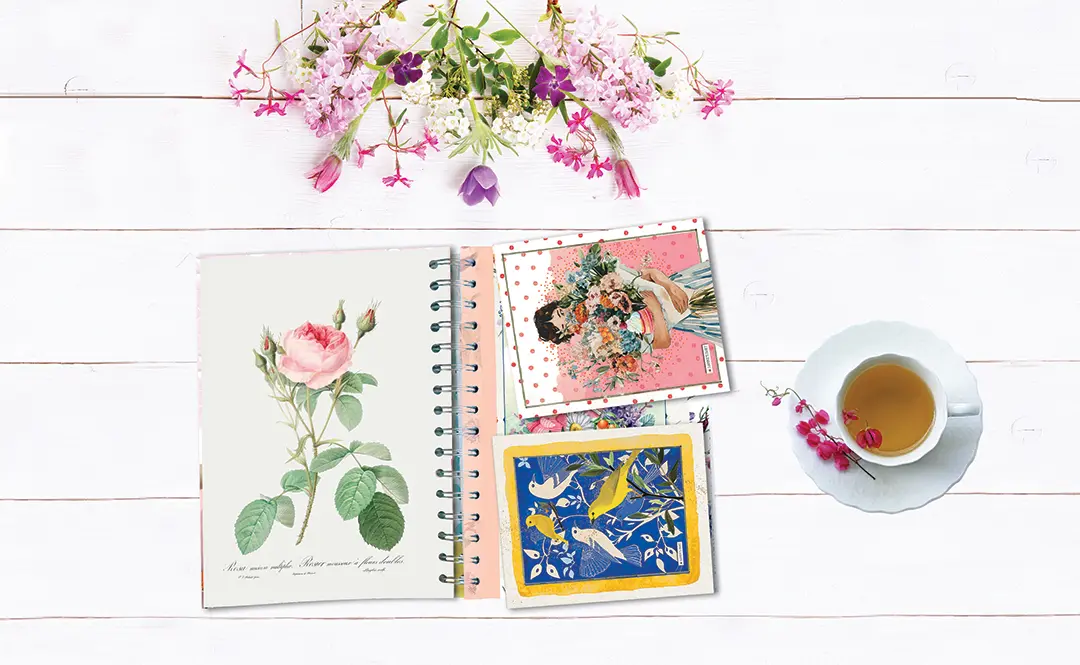 Bild: 9783735854391 | Daphne's Diary - Taschenkalender 2026 | Taschenbuch | Spiralbindung