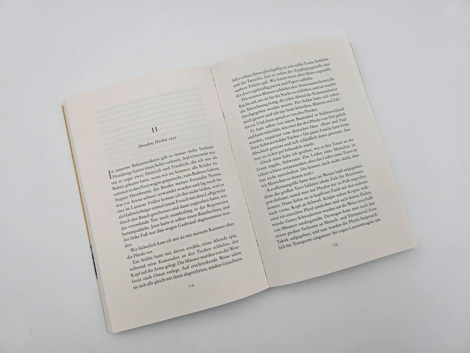 Bild: 9783492064491 | Aufbruch der Störche | Corinna Vossius | Taschenbuch | 304 S. | 2024