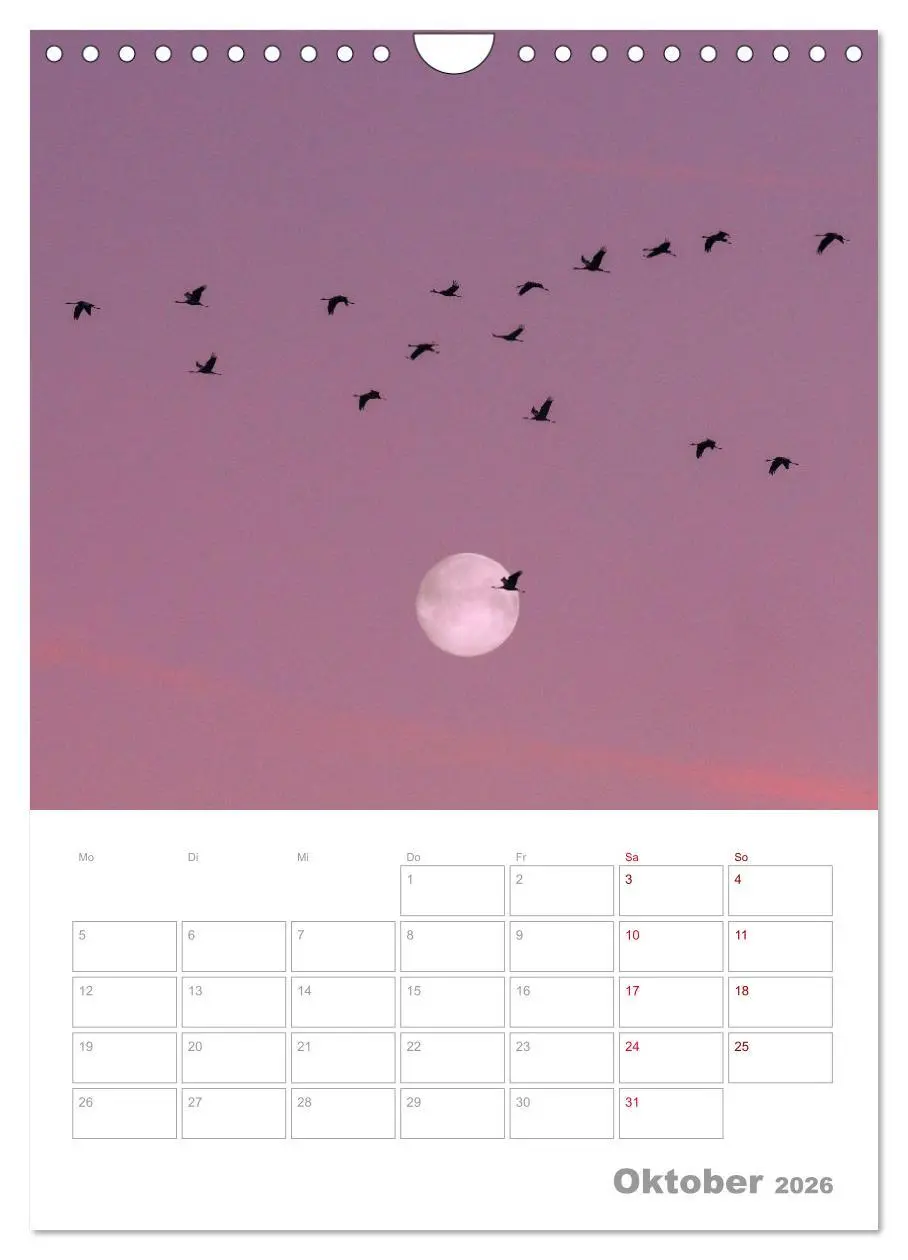 Bild: 9783516364491 | VOLLMOND-Planer - Im Licht der Nacht (Wandkalender 2026 DIN A4...