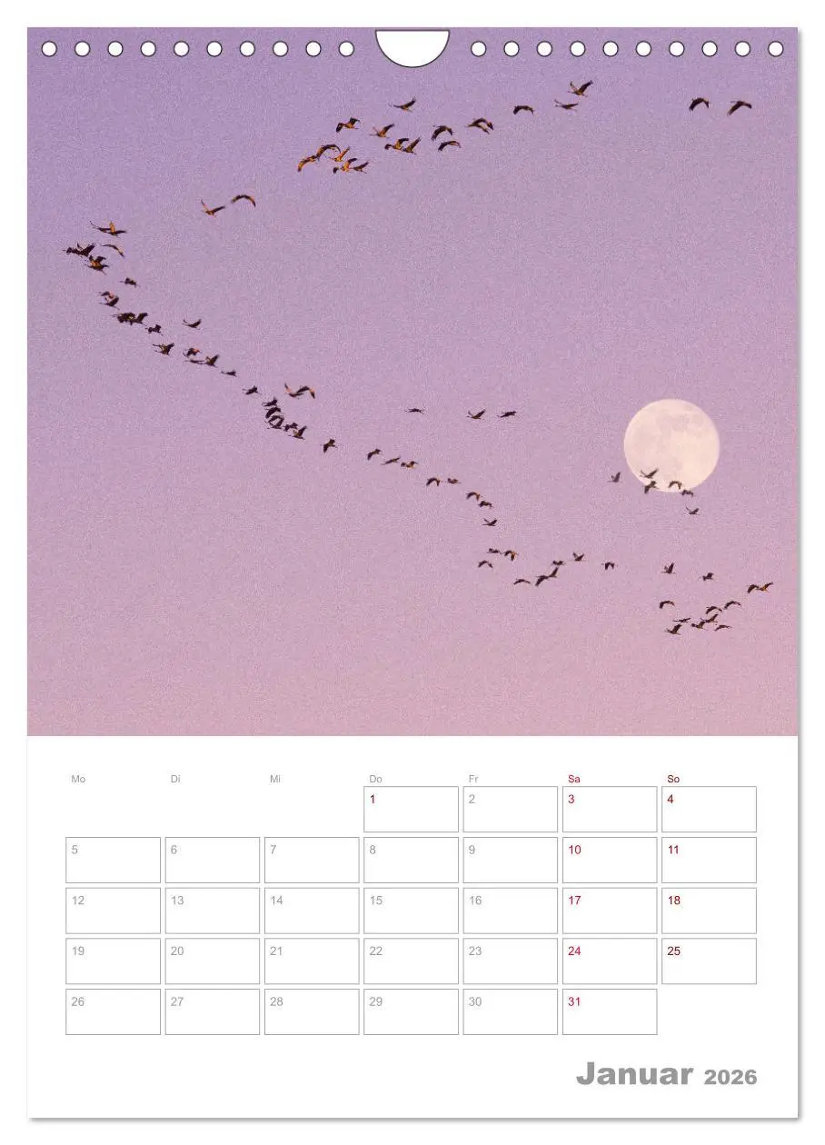 Bild: 9783516364491 | VOLLMOND-Planer - Im Licht der Nacht (Wandkalender 2026 DIN A4...