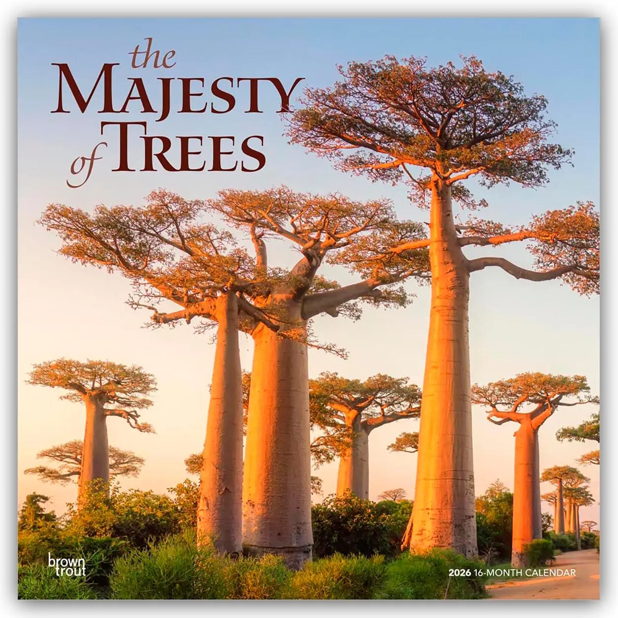Cover: 9798330704491 | The Majesty of Trees - Die Erhabenheit der Bäume 2026 -...