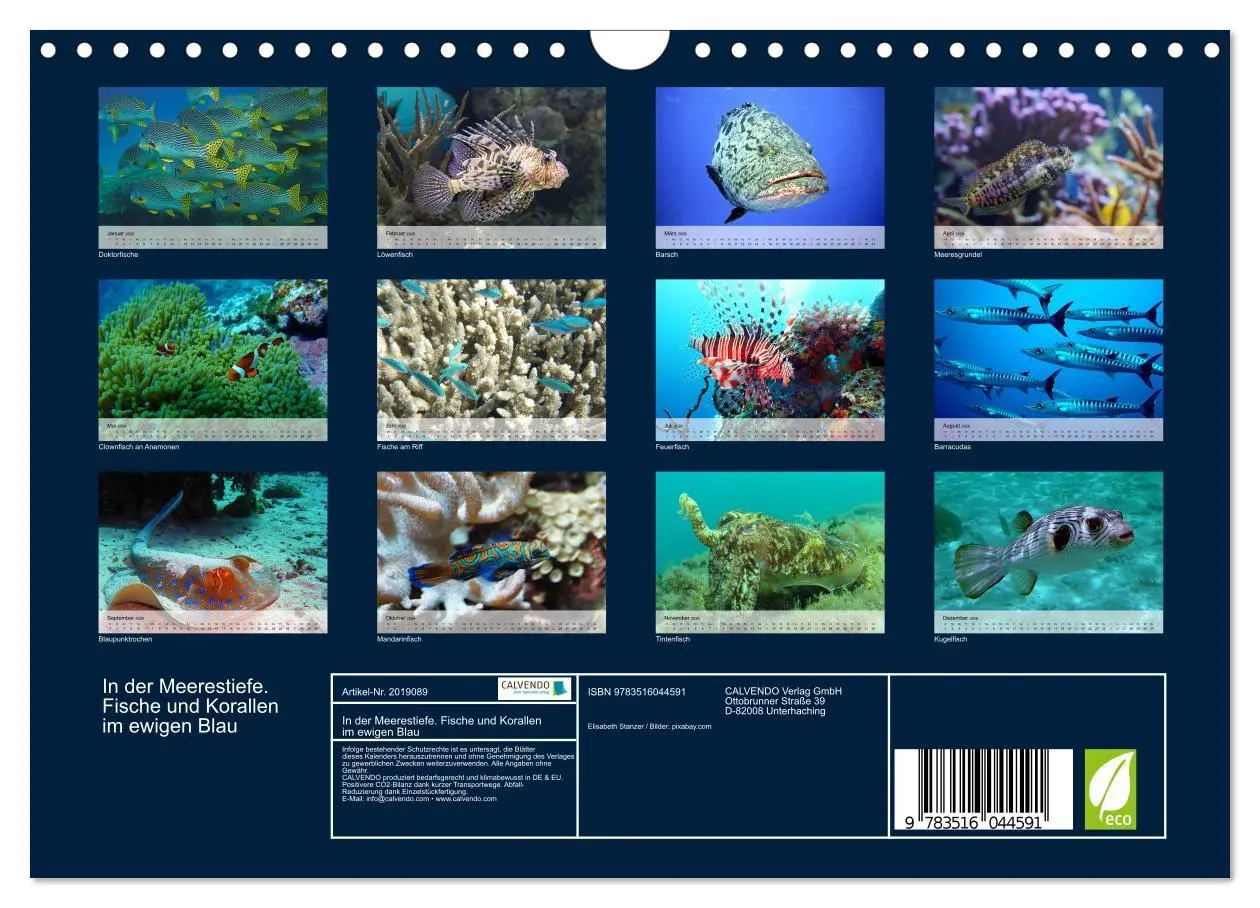 Bild: 9783516044591 | In der Meerestiefe. Fische und Korallen im ewigen Blau...