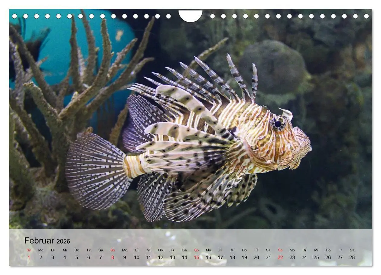 Bild: 9783516044591 | In der Meerestiefe. Fische und Korallen im ewigen Blau...