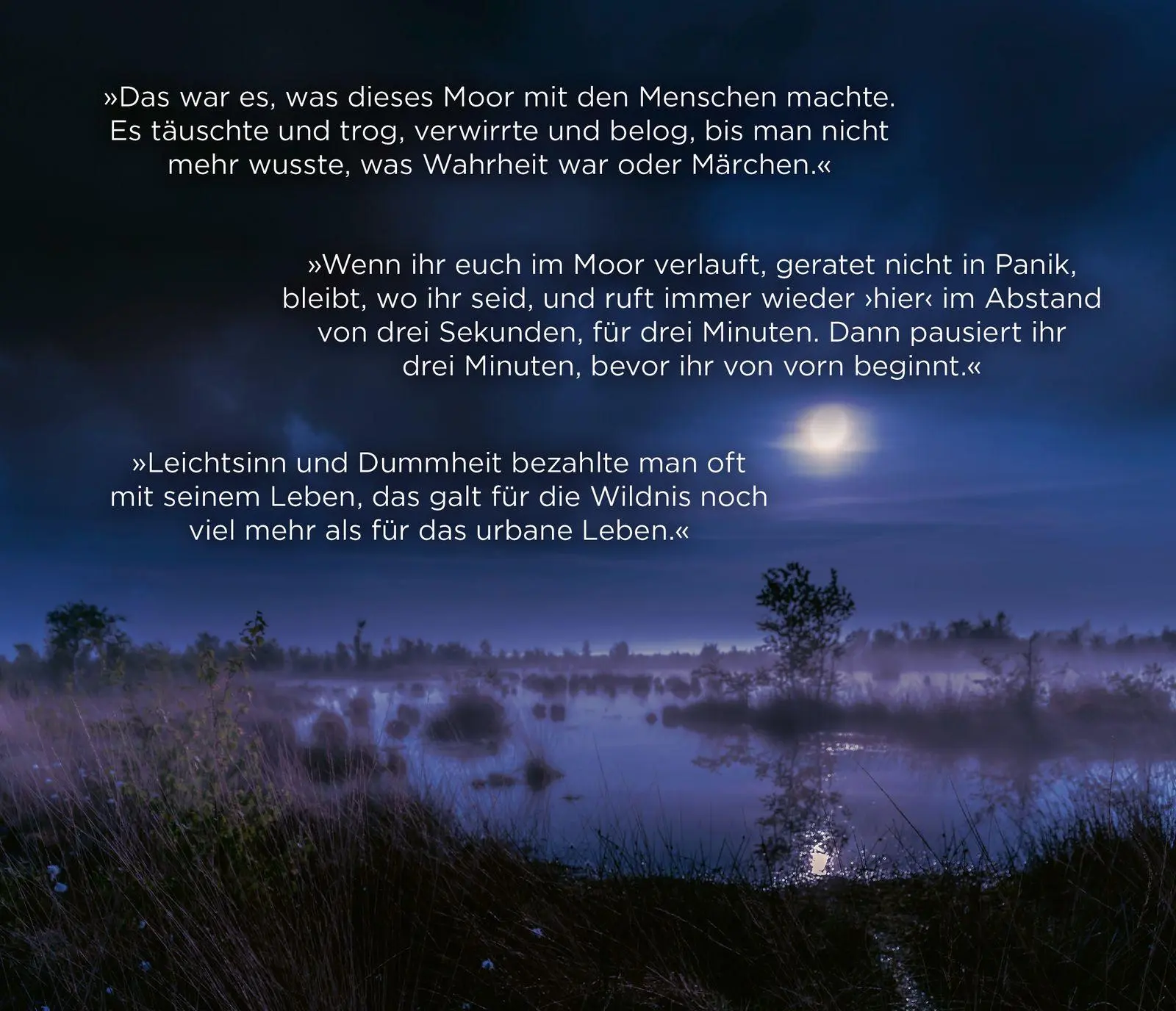 Bild: 9783426564691 | Moorland. Die Zwillinge | Thriller | Andreas Winkelmann | Taschenbuch