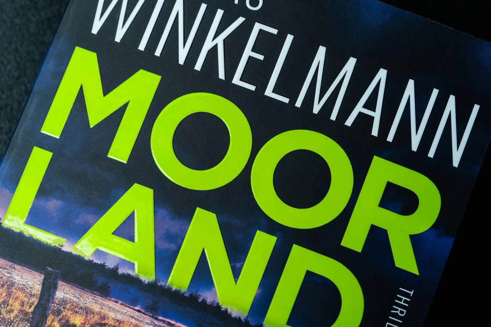 Bild: 9783426564691 | Moorland. Die Zwillinge | Thriller | Andreas Winkelmann | Taschenbuch