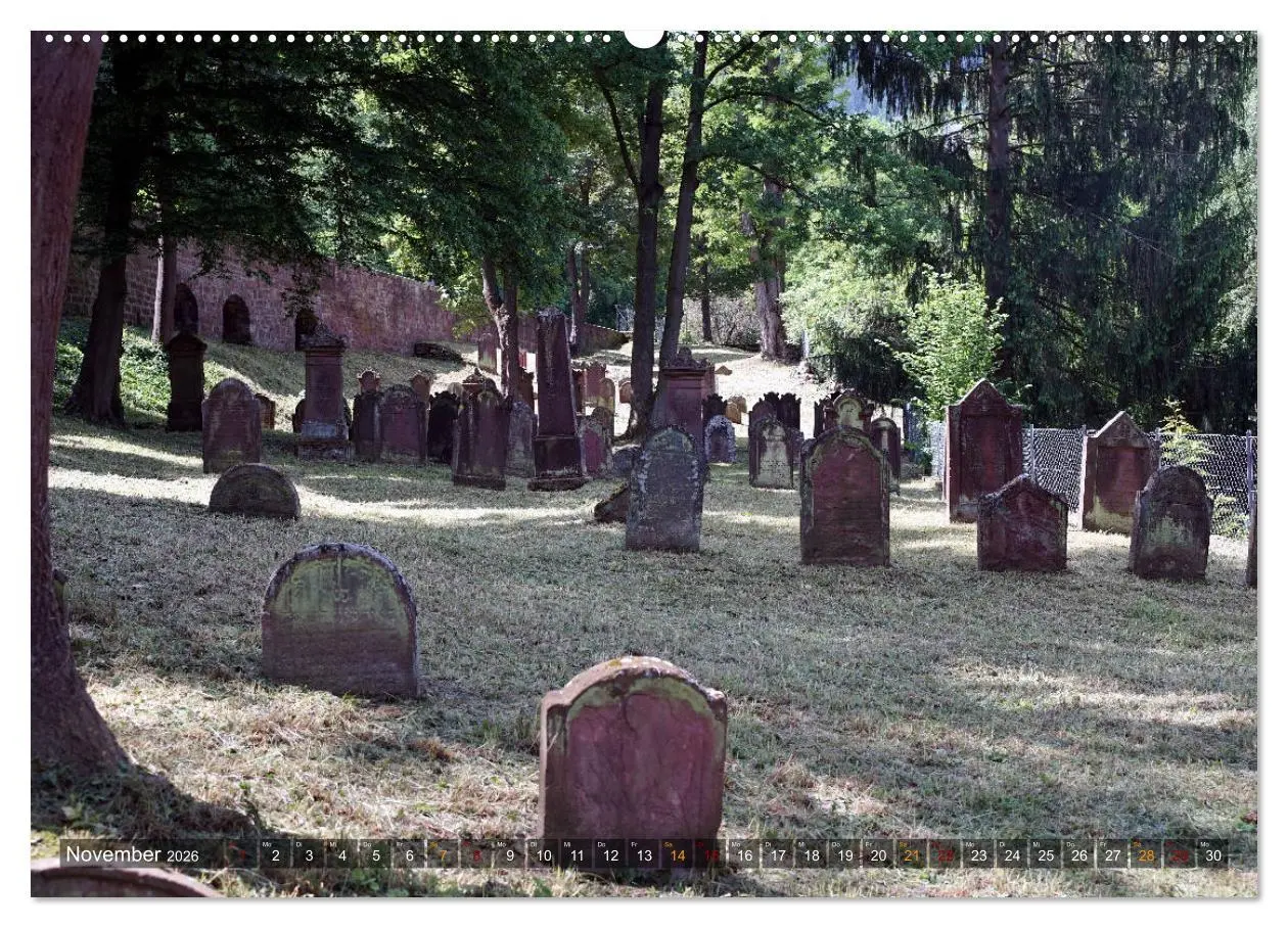 Bild: 9783457864791 | Miltenberg am Main (Wandkalender 2026 DIN A2 quer), CALVENDO...