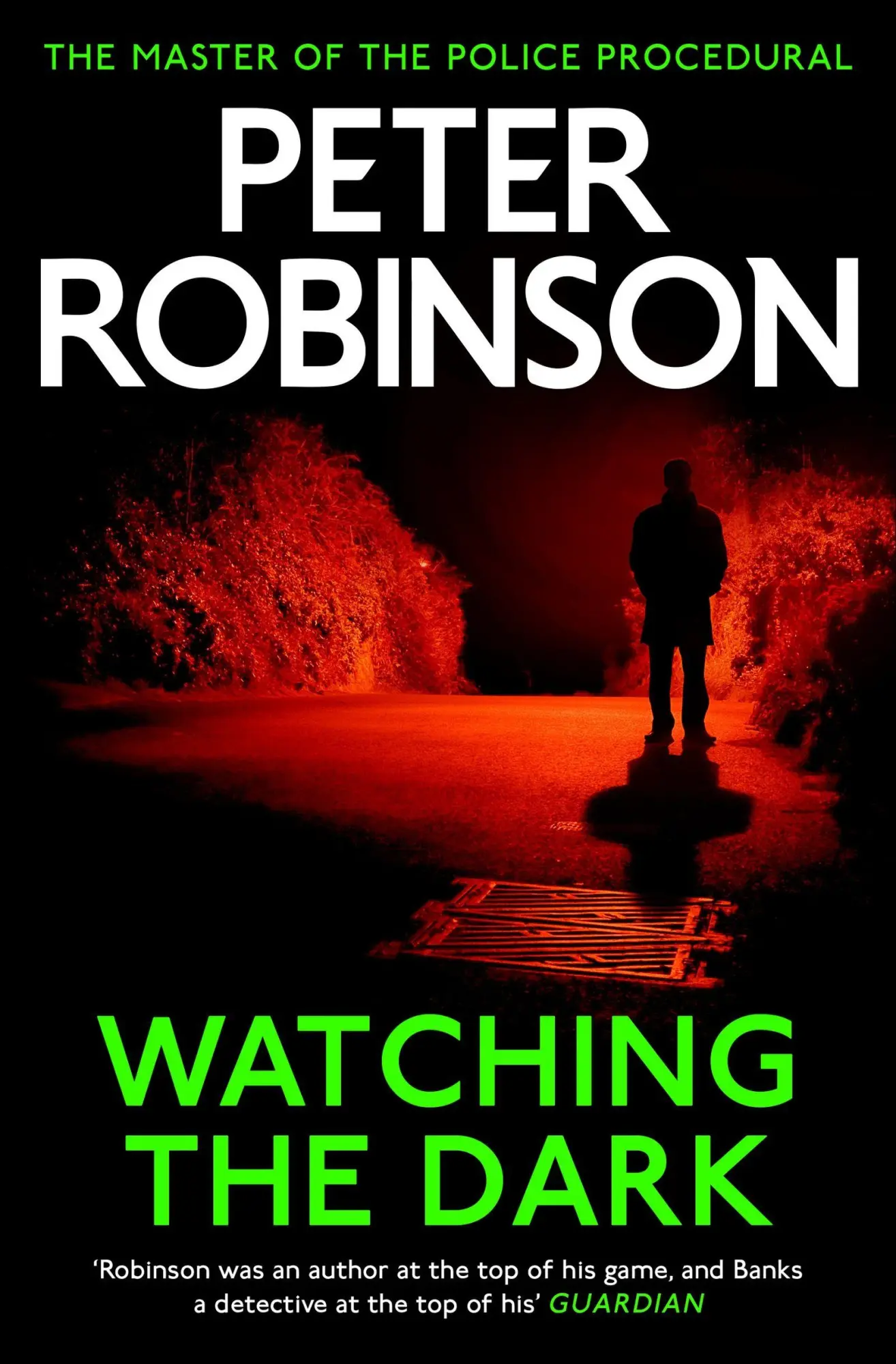 Cover: 9781444704891 | Watching the Dark | A DCI Banks Mystery 20 | Peter Robinson | Buch