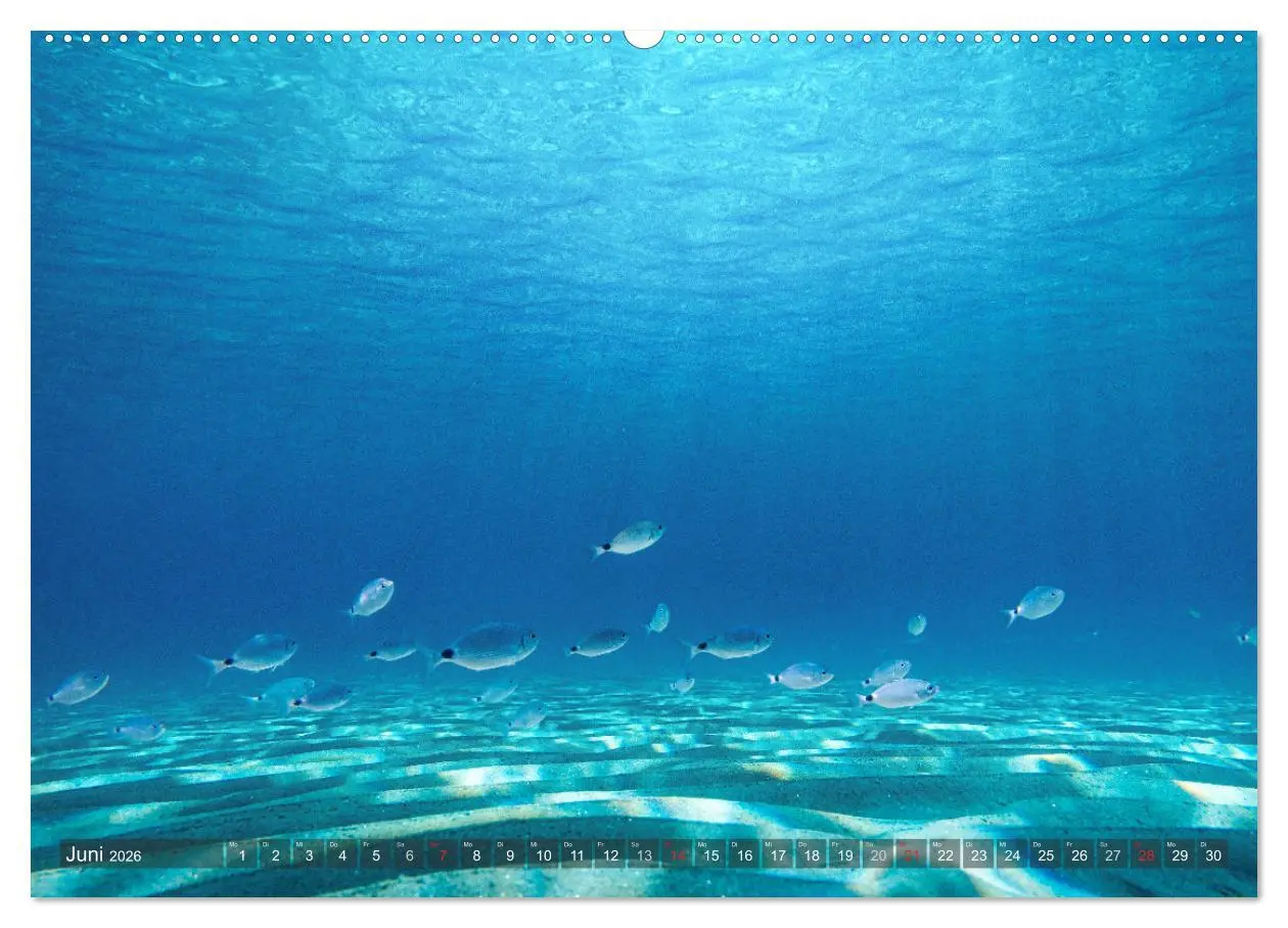 Bild: 9783457304891 | Sardinien - Karibik des Mittelmeers (Wandkalender 2026 DIN A2...