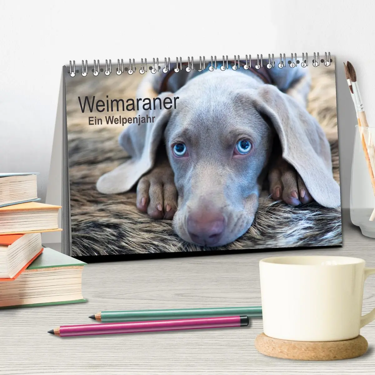 Bild: 9783457844991 | Weimaraner - Ein Welpenjahr (Tischkalender 2026 DIN A5 quer),...