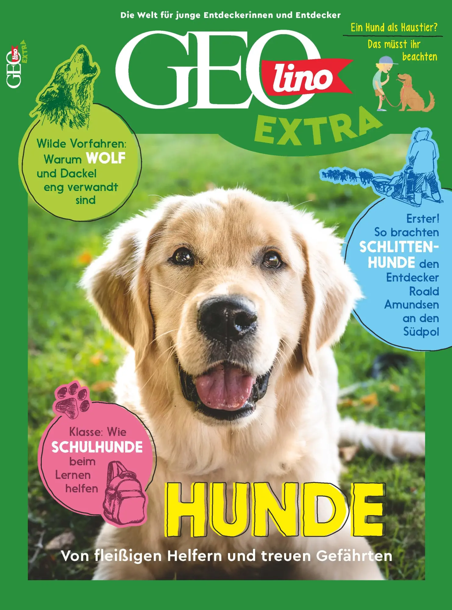 Cover: 9783652014991 | GEOlino extra 104/2024 - Hunde | Juliane van Treeck | Taschenbuch