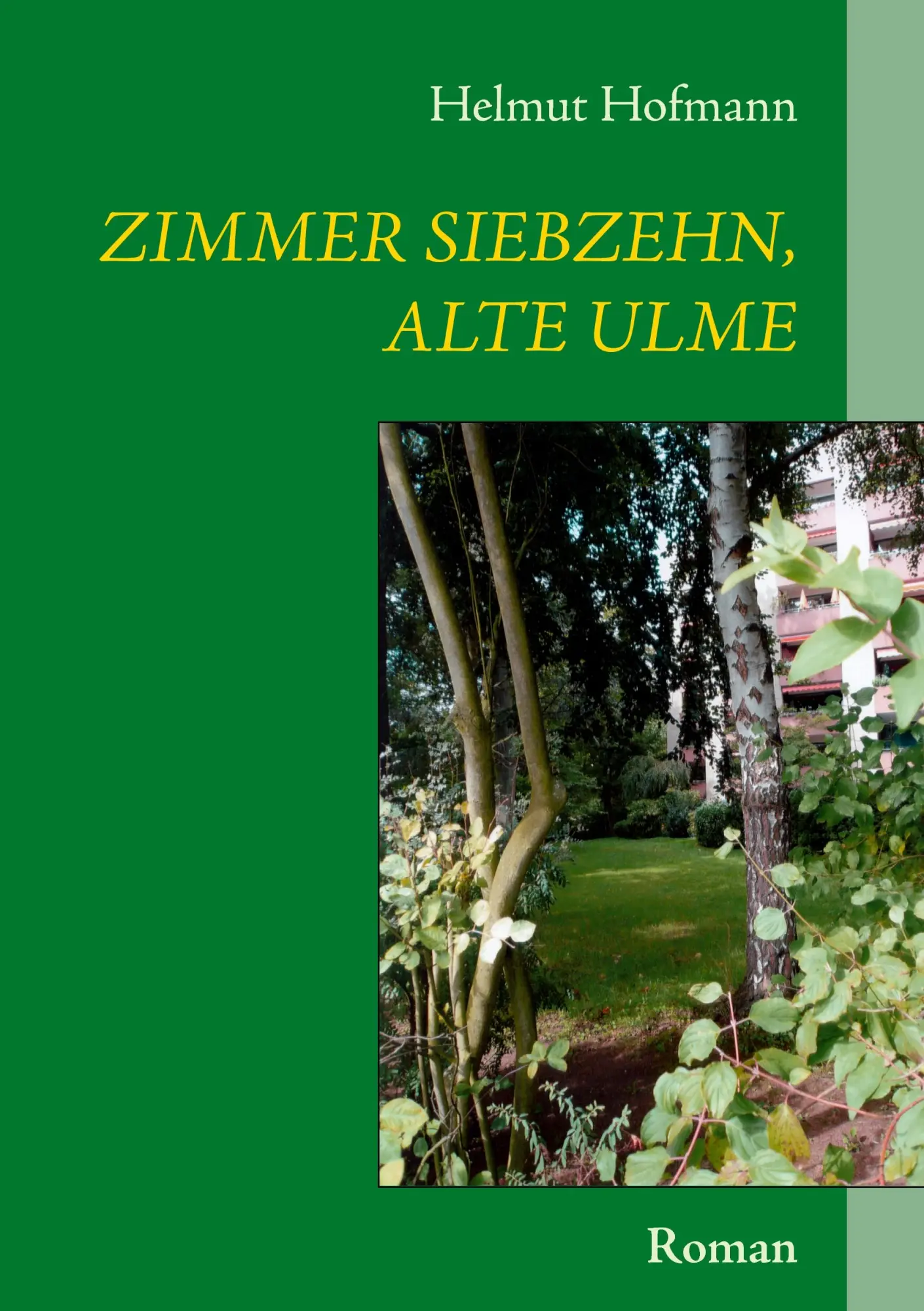 Cover: 9783839154991 | Zimmer siebzehn, alte Ulme | Helmut Hofmann | Taschenbuch | 312 S.
