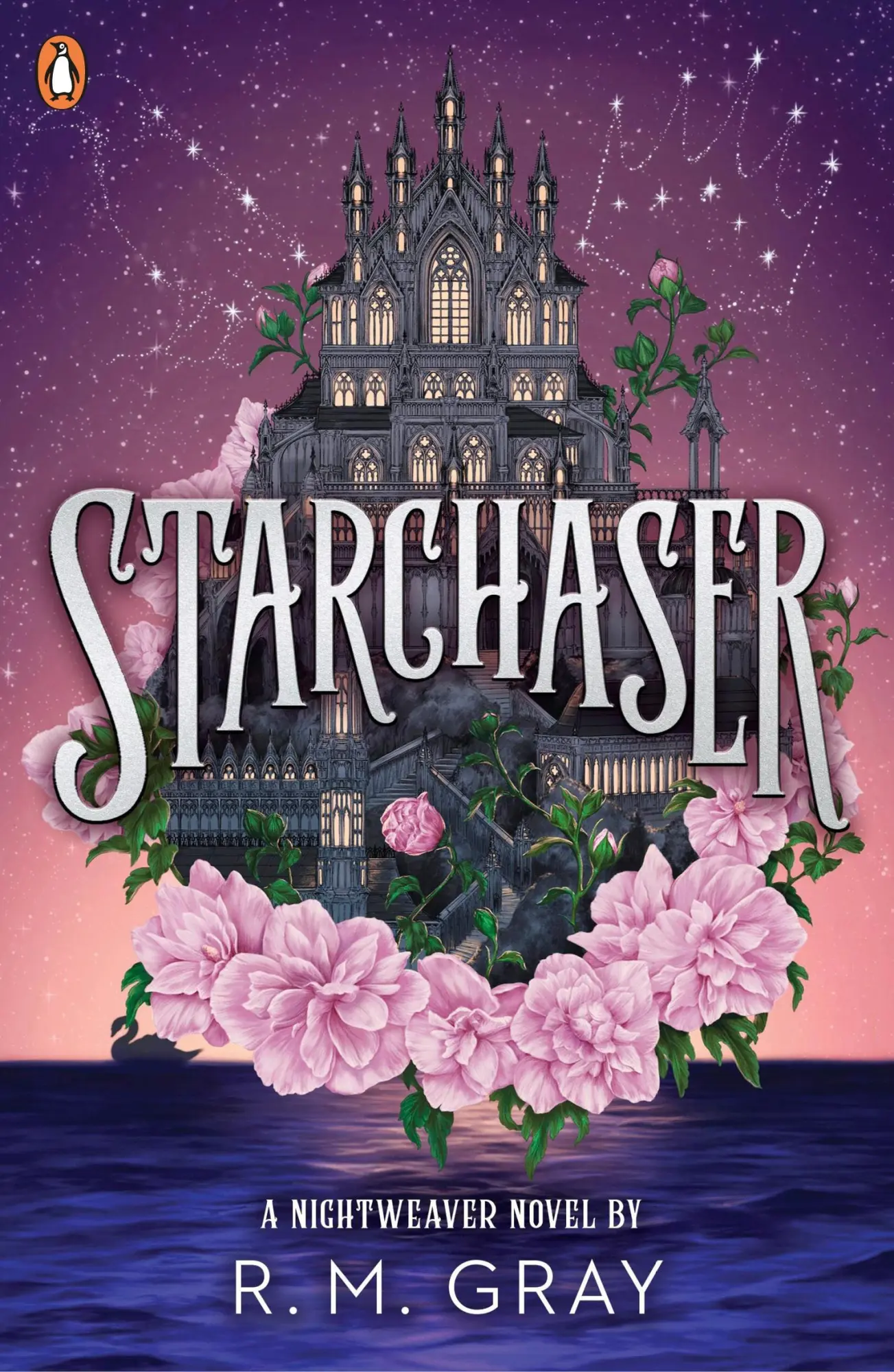 Cover: 9780241735091 | Starchaser | R. M. Gray | Taschenbuch | Nightweaver | Englisch | 2025