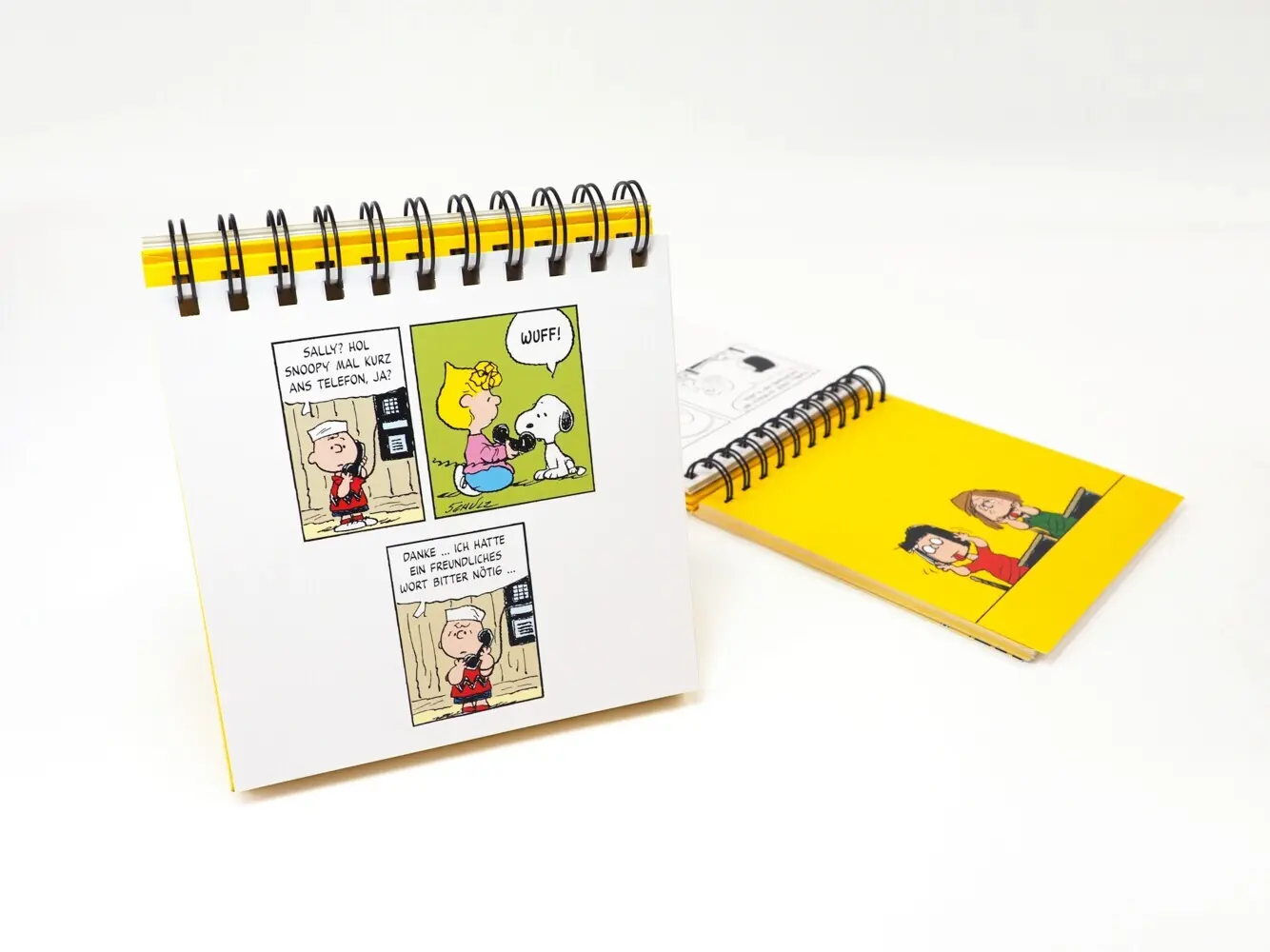 Bild: 9783150115091 | Peanuts. Freunde machen das Leben bunter (Tischaufsteller) | Schulz