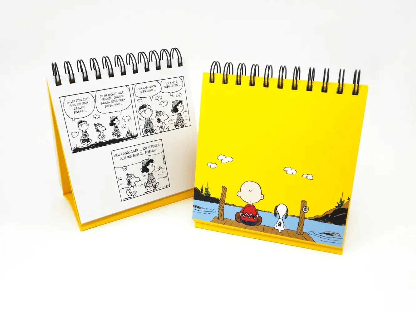 Bild: 9783150115091 | Peanuts. Freunde machen das Leben bunter (Tischaufsteller) | Schulz