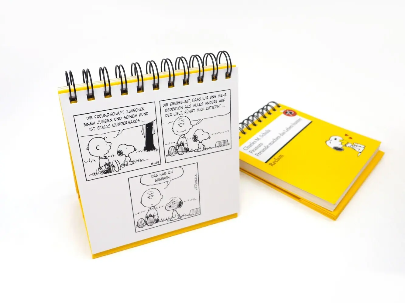 Bild: 9783150115091 | Peanuts. Freunde machen das Leben bunter (Tischaufsteller) | Schulz