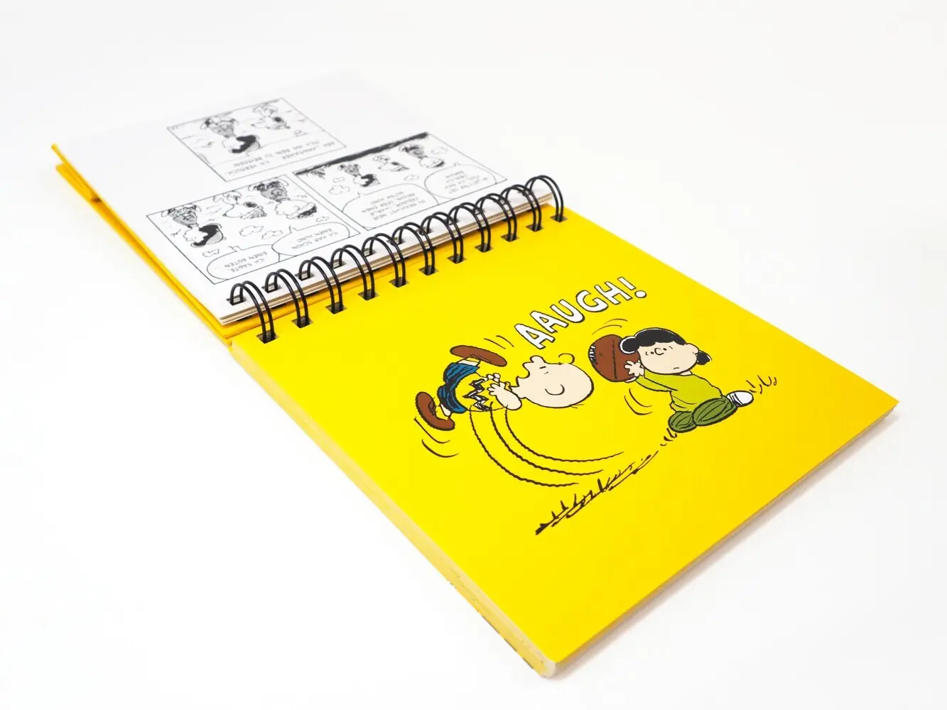 Bild: 9783150115091 | Peanuts. Freunde machen das Leben bunter (Tischaufsteller) | Schulz