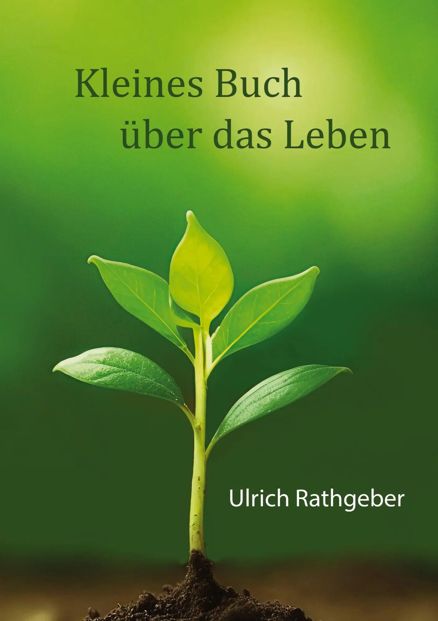 Cover: 9783384475091 | Kleines Buch über das Leben | Das Wesentliche in einfachen Worten