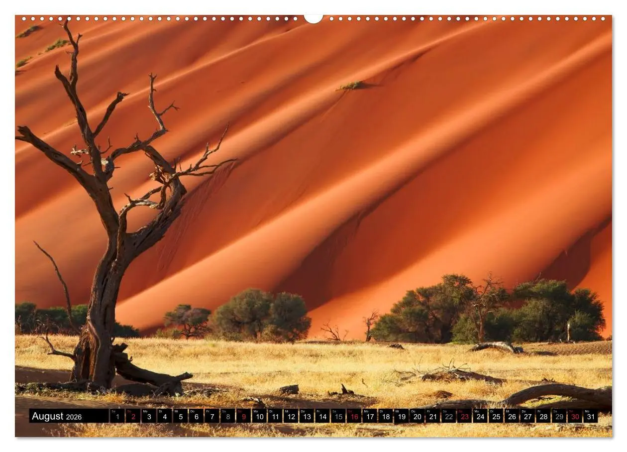 Bild: 9783516065091 | Namib Naukluft Nationalpark. NAMIBIA 2026 (hochwertiger Premium...
