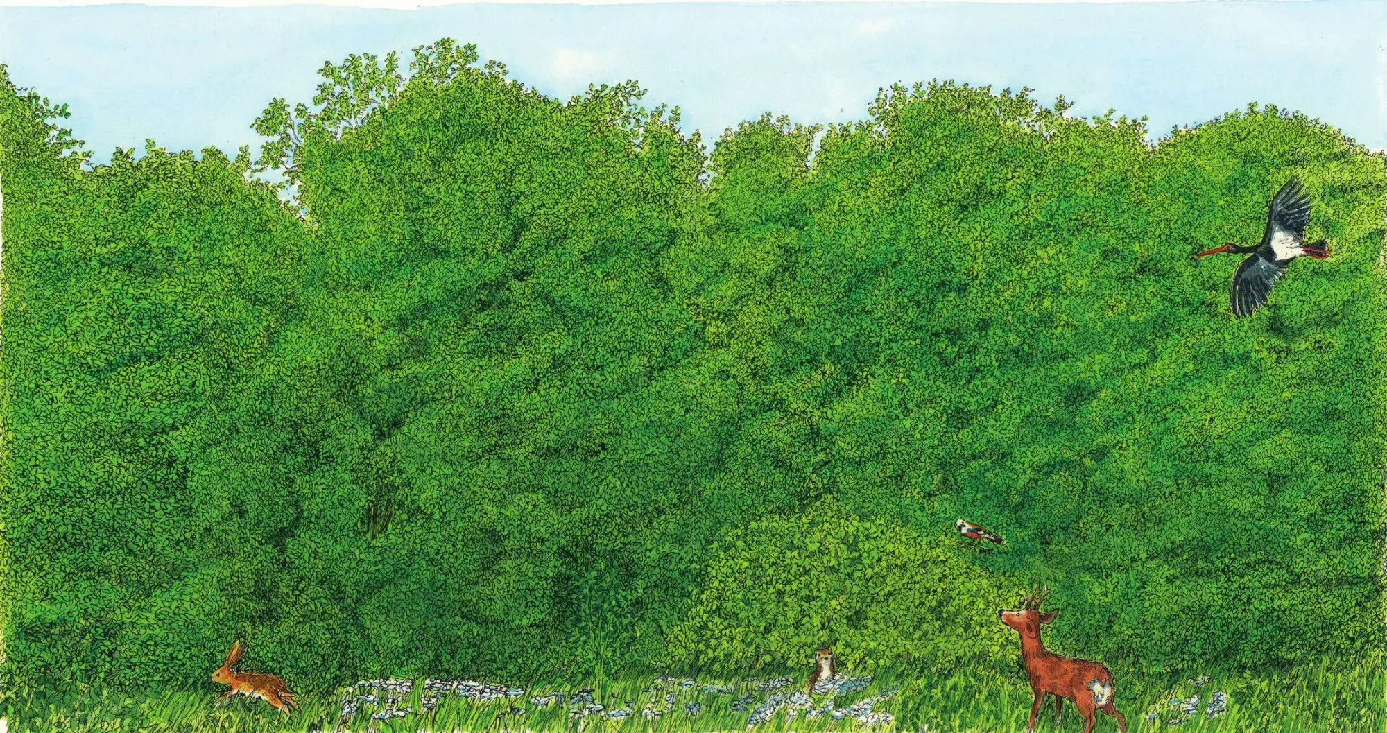 Bild: 9783948945091 | In den Wald | Buch | Deutsch | 2025 | Eichhörnchenverlag