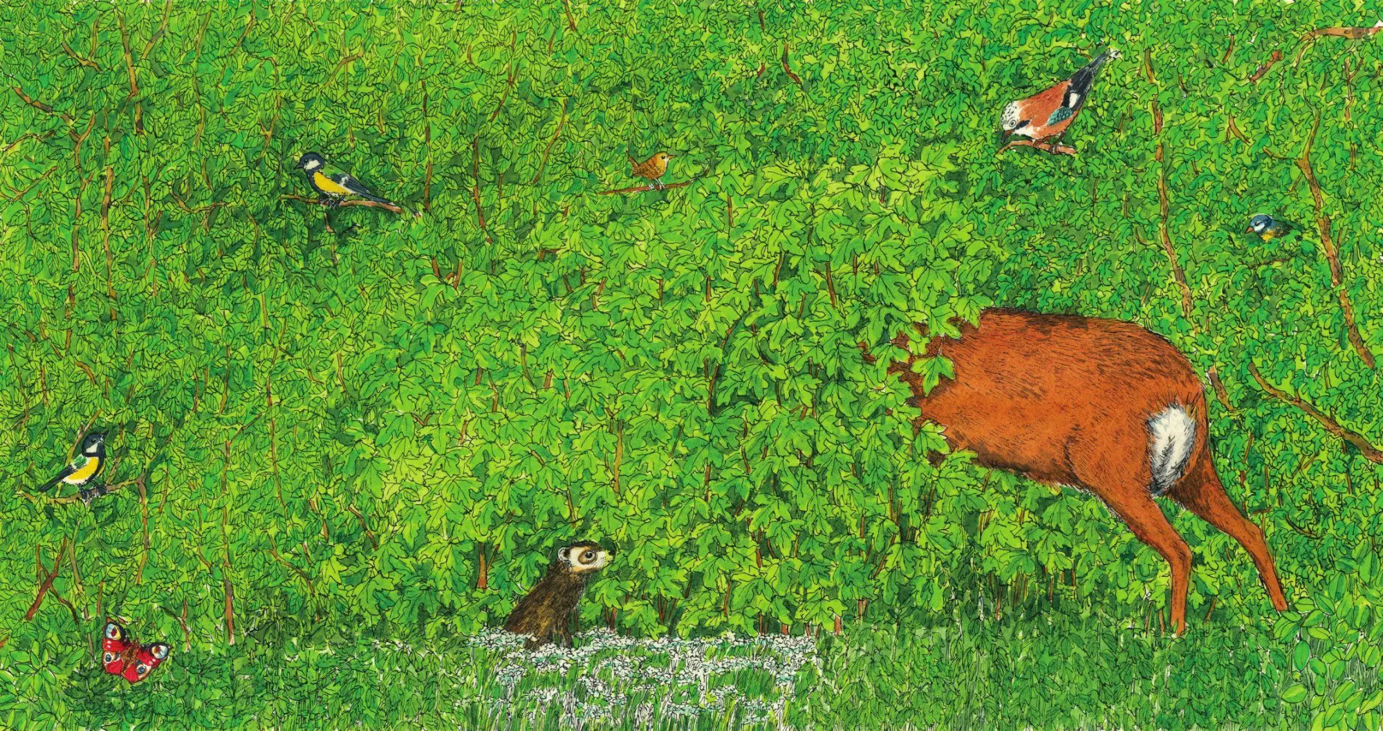 Bild: 9783948945091 | In den Wald | Buch | Deutsch | 2025 | Eichhörnchenverlag