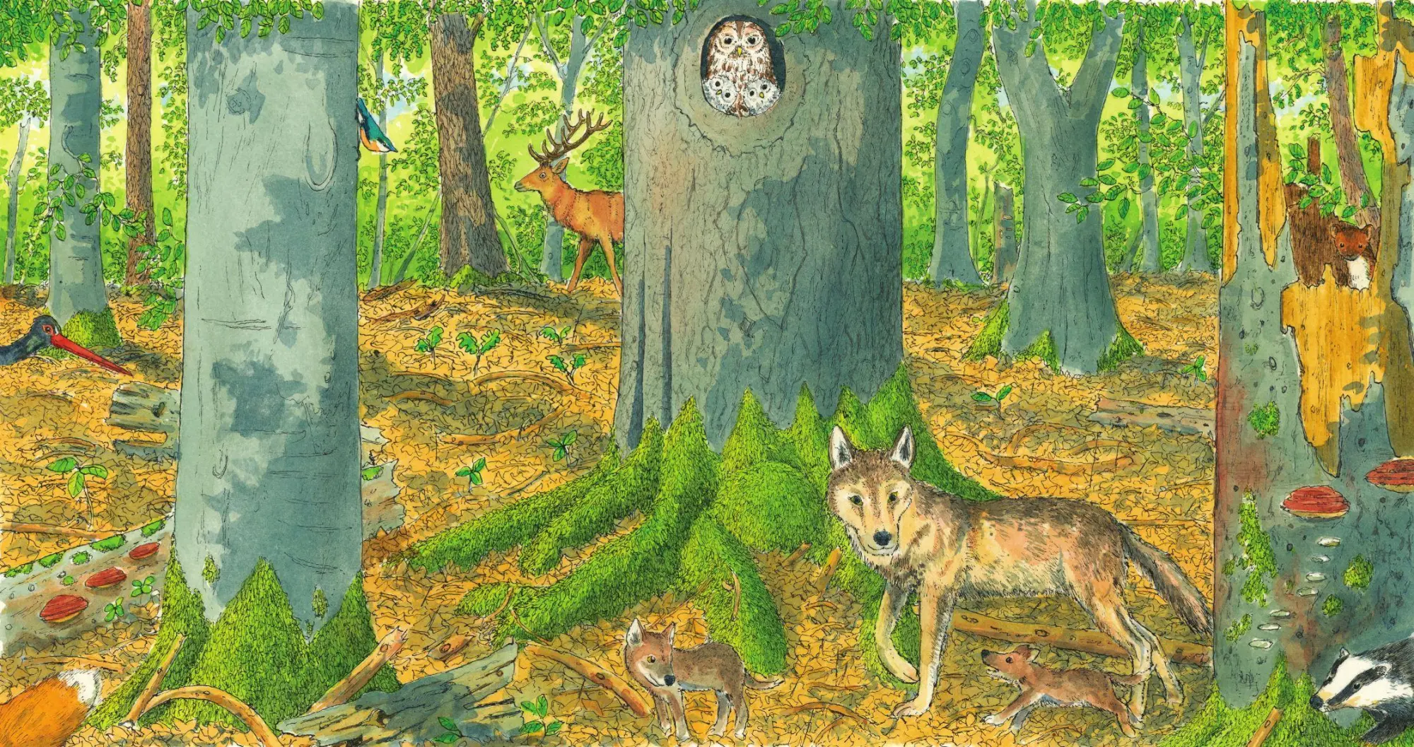 Bild: 9783948945091 | In den Wald | Buch | Deutsch | 2025 | Eichhörnchenverlag