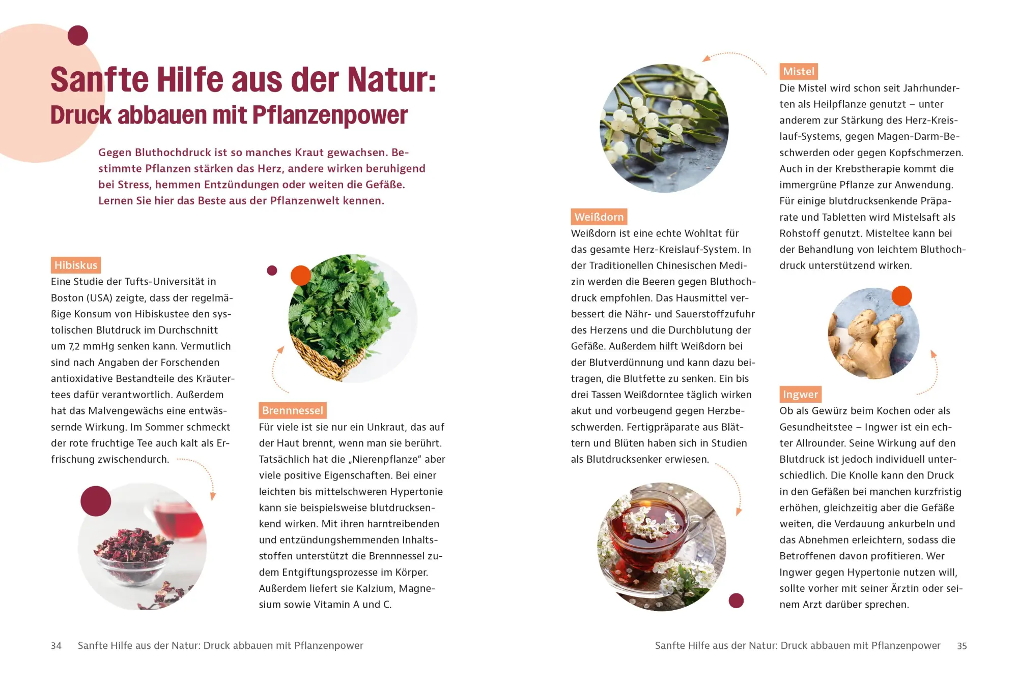 Bild: 9783965845091 | Gesund mit Visite - Bluthochdruck | Visite | Taschenbuch | 144 S. | ZS
